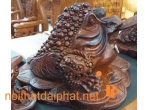 TƯỢNG CÓC HƯƠNG LỚN