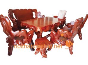 SALON GỐC CÂY ĐỘC LẠ 7 MÓN
