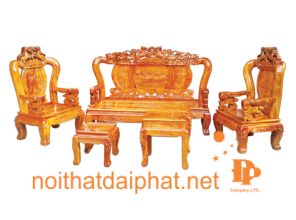 SALON NGỰA C10